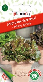 Sałata na cięte listki Biscia rossa
