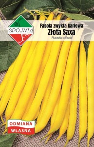 Fasola zw. karłowa Złota Saxa 50 g