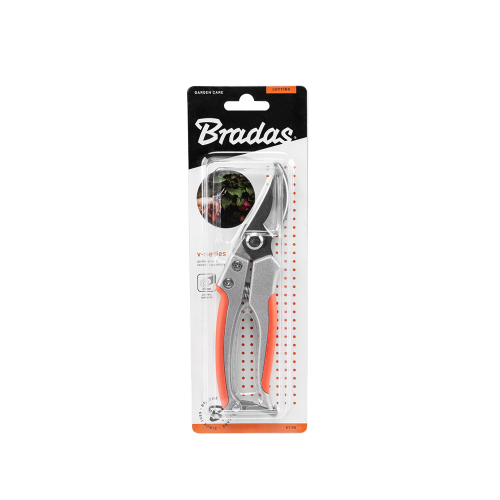 Bradas KT V5.png