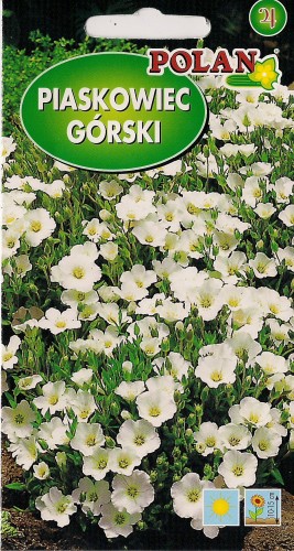 Piaskowiec górski biały