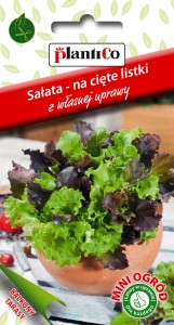 Sałata na cięte listki mieszanka  Mini Ogród