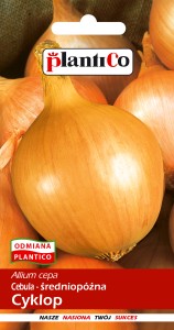 Cebula Allium cepa Cyklop 5g.