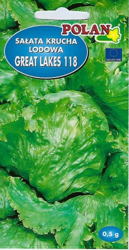Sałata gł. krucha Great Lakes
