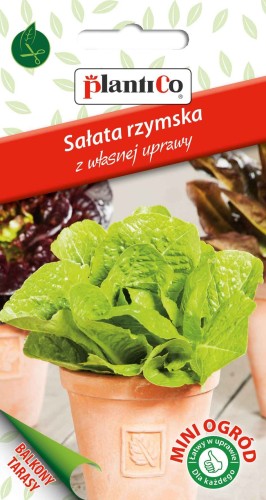 sał rzyms mio.jpg