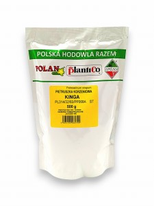 Pietruszka korzeniowa Kinga 500g.