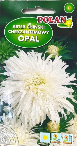 opal.jpg