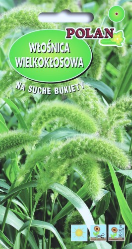 Trawy ozdobne Włośnica wielokłosowa