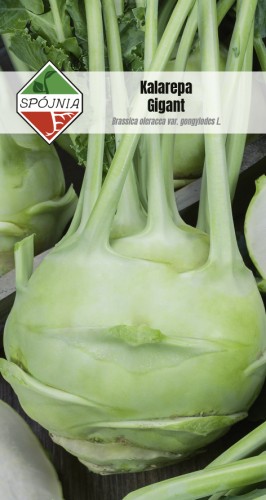 kalarepa Gigant SN-xxx-08-xxxxxx.jpg