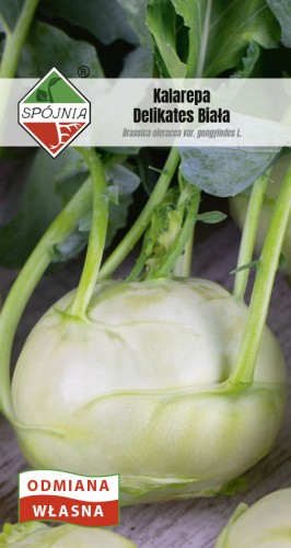 kalarepa Delikates biala X SN-213-08-169739.jpg