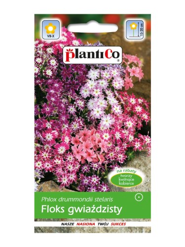 Floks gwiaździsty