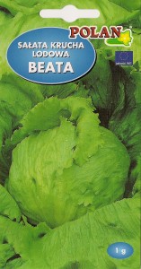 Sałata gł. krucha Beata 1g.