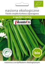 Fasola zw. karłowa Maxi - BIO