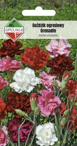 Goździk ogrodowy Grenadin mieszanka 1 g