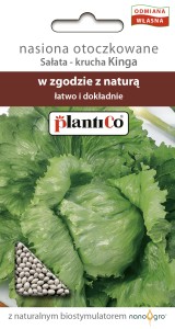 Sałata gł. krucha Kinga otoczka ok.150 nas.