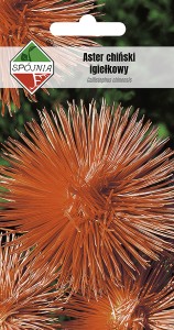 Aster ch. igiełkowy Ognisty Ptak 1g