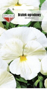 Bratek ogrodowy biały 0,5 g
