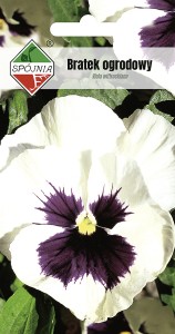 Bratek ogrodowy biały z plamą 0,5g 