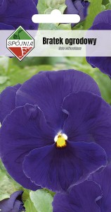 Bratek ogrodowy c.fioletowy 0,5 g