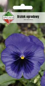 Bratek ogrodowy fioletowy z plamą 0,5g