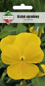 Bratek ogrodowy żółty 0,5 g
