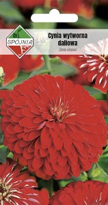 Cynia wytw. daliowa czerwona 1 g