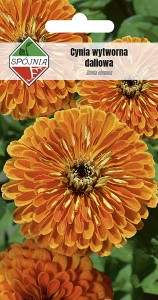 Cynia wytw. daliowa Orange King 1 g