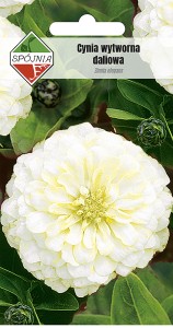 Cynia wytw. daliowa Polar Bear 1 g