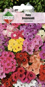 Floks Drummondii mieszanka 1g