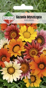 Gazania błyszcząca mix 0,5 g