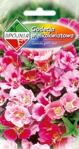 Godecja wielkokwiatowa 0,5 g