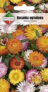 Kocanka ogrodowa mieszanka 1g