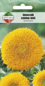 Słonecznik ozdobny Helianthus annus pełny niski 2 g