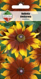 Rudbekia dwubarwna dwubarwna 0,5 g