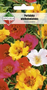 Portulaka wielkokwiat. mix 0,5 g