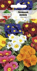 Pierwiosnek wyniosły 0,5 g