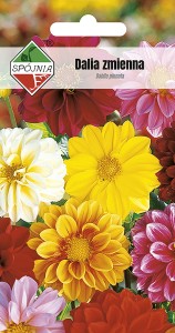 Dalia zmienna mix 1 g