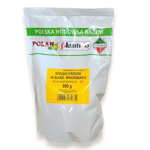 Pietruszka korzeniowa Halblange - Brandenburska 500g.