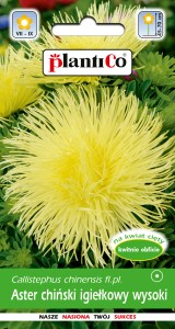 Aster ch. igiełkowy Lemon 1 g