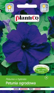 Petunia ogrodowa niebieska 0,05 g