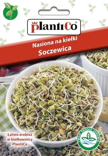 kielki Soczewica-ZIEL-810-15-G copy.jpg