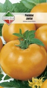 Pomidor gruntowy Jantar 0,5 g