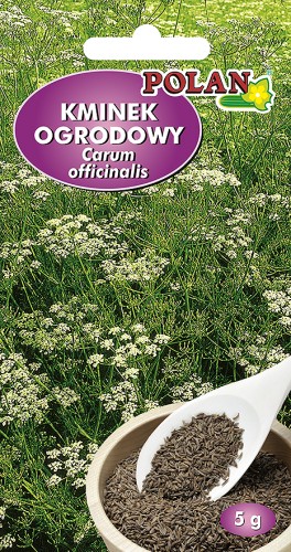 kminek ogrodowy.jpg