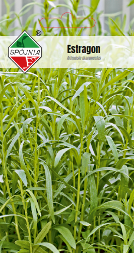 Estragon.png
