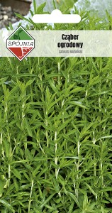 Cząber ogrodowy 1 g