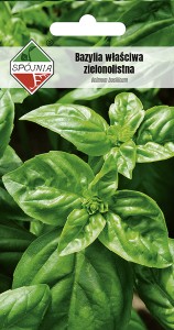 Bazylia właściwa 1 g