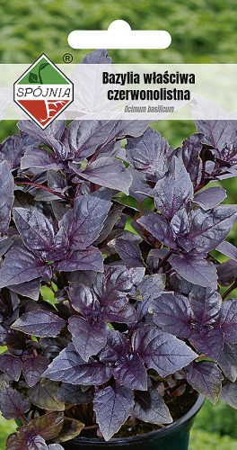 bazylia wl czer-SN-129-08-138029.jpg