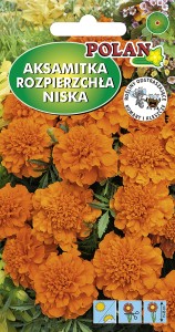 Aksamitka rozpierzchła pomarańczowa 1 g