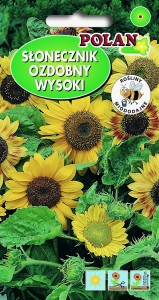 Słonecznik ozdobny Helianthus annus pojedynczy wysoki 5g