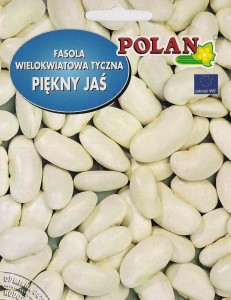 Fasola  wielokwiatowa Piękny Jaś 50 g