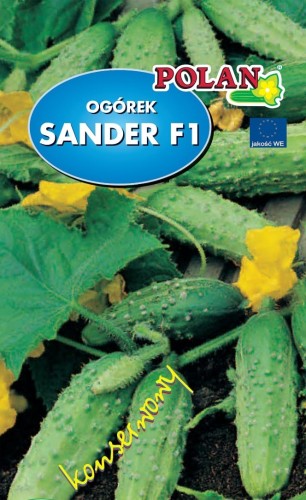 Sander.jpg